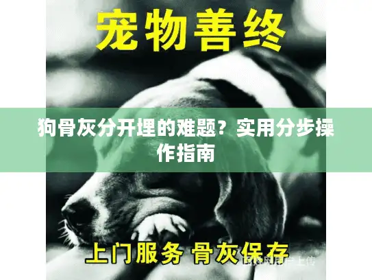 狗骨灰分开埋的难题？实用分步操作指南
