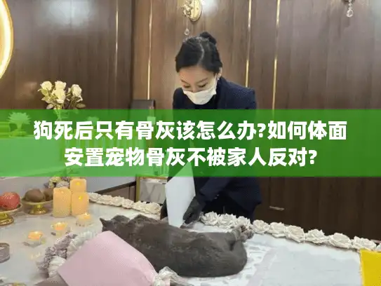 狗死后只有骨灰该怎么办?如何体面安置宠物骨灰不被家人反对?
