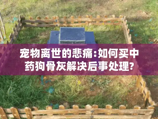 宠物离世的悲痛:如何买中药狗骨灰解决后事处理?