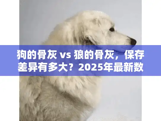 狗的骨灰 vs 狼的骨灰，保存差异有多大？2025年最新数据解析