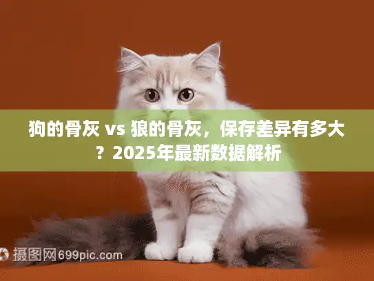 狗的骨灰 vs 狼的骨灰，保存差异有多大？2025年最新数据解析