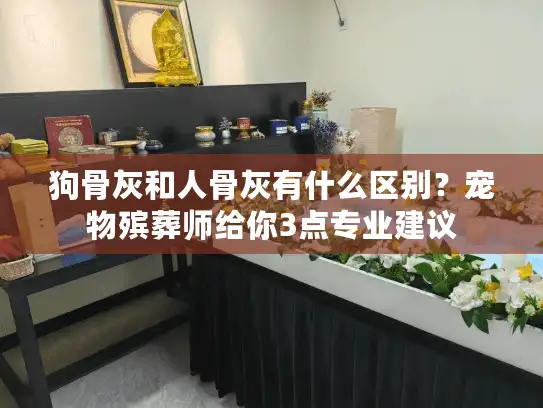 狗骨灰和人骨灰有什么区别？宠物殡葬师给你3点专业建议