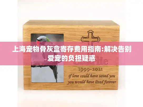 上海宠物骨灰盒寄存费用指南:解决告别爱宠的负担疑惑