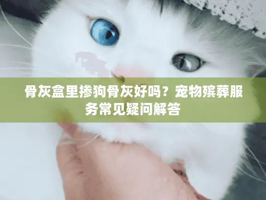 骨灰盒里掺狗骨灰好吗？宠物殡葬服务常见疑问解答