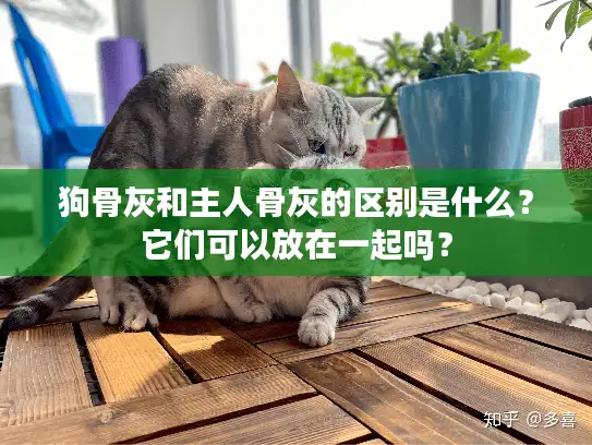 狗骨灰和主人骨灰的区别是什么？它们可以放在一起吗？
