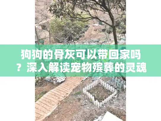 狗狗的骨灰可以带回家吗？深入解读宠物殡葬的灵魂关怀