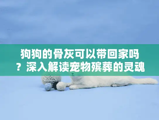 狗狗的骨灰可以带回家吗？深入解读宠物殡葬的灵魂关怀