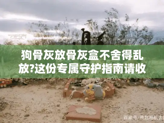 狗骨灰放骨灰盒不舍得乱放?这份专属守护指南请收好