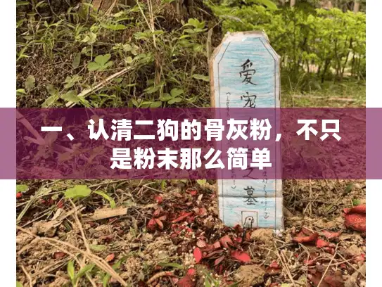 一、认清二狗的骨灰粉，不只是粉末那么简单