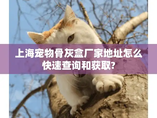 上海宠物骨灰盒厂家地址怎么快速查询和获取?