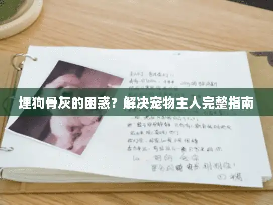 埋狗骨灰的困惑？解决宠物主人完整指南