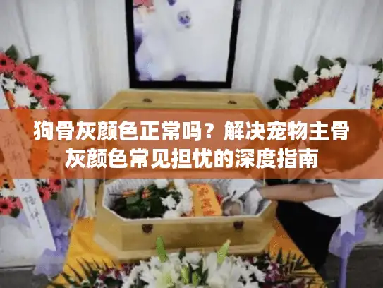 狗骨灰颜色正常吗？解决宠物主骨灰颜色常见担忧的深度指南