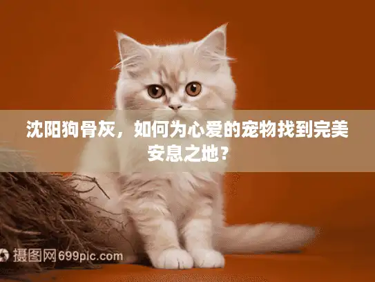 沈阳狗骨灰，如何为心爱的宠物找到完美安息之地？
