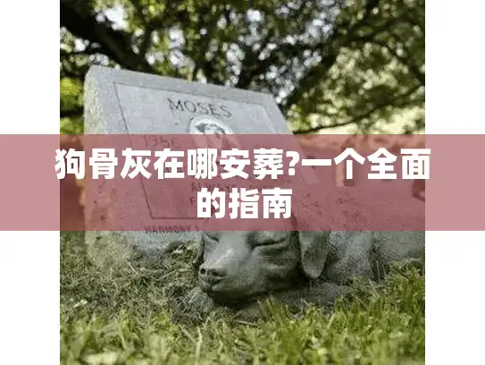 狗骨灰在哪安葬?一个全面的指南