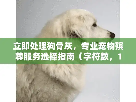 立即处理狗骨灰，专业宠物殡葬服务选择指南（字符数，14）
