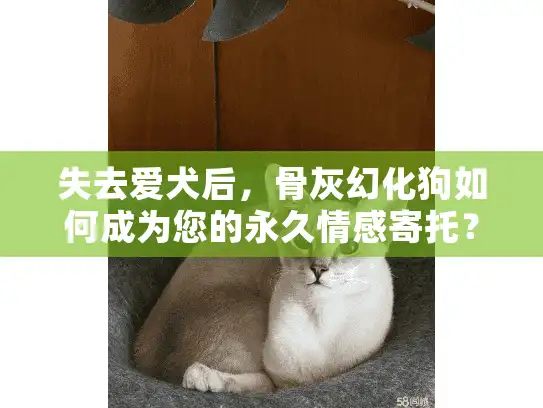 失去爱犬后，骨灰幻化狗如何成为您的永久情感寄托？