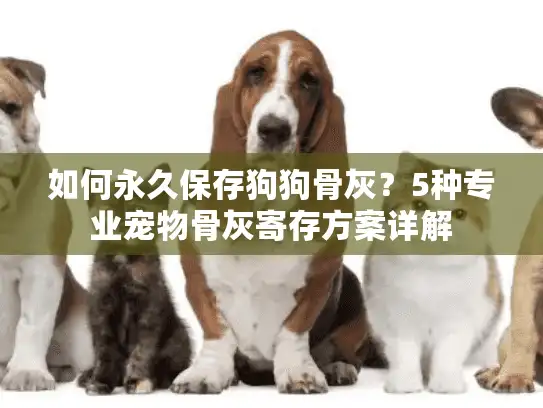 如何永久保存狗狗骨灰？5种专业宠物骨灰寄存方案详解