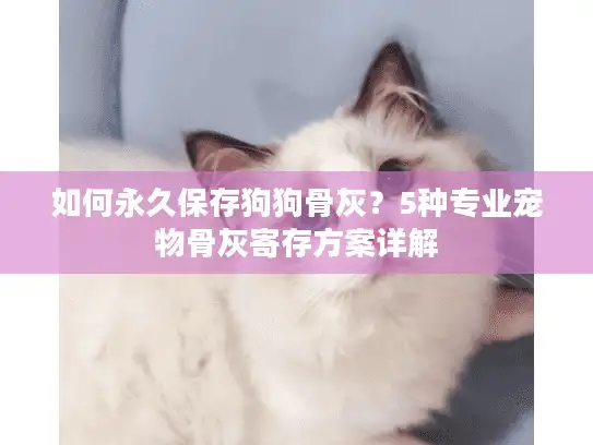 如何永久保存狗狗骨灰？5种专业宠物骨灰寄存方案详解