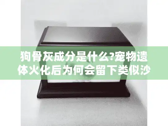 狗骨灰成分是什么?宠物遗体火化后为何会留下类似沙子的残留物?