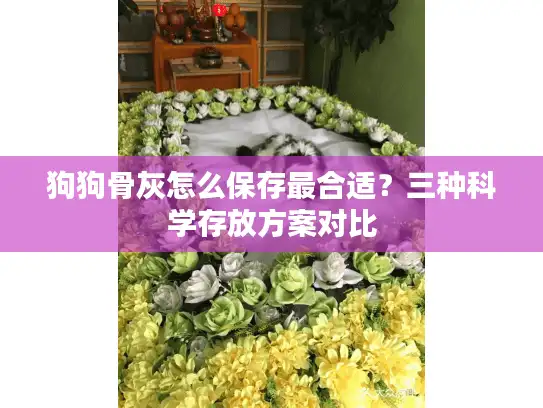 狗狗骨灰怎么保存最合适？三种科学存放方案对比