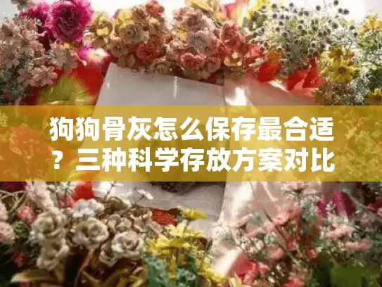 狗狗骨灰怎么保存最合适？三种科学存放方案对比