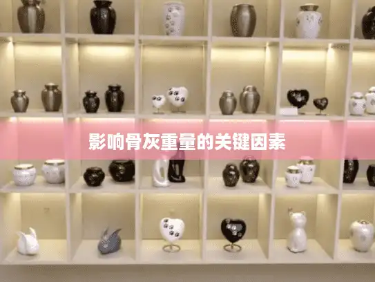 影响骨灰重量的关键因素