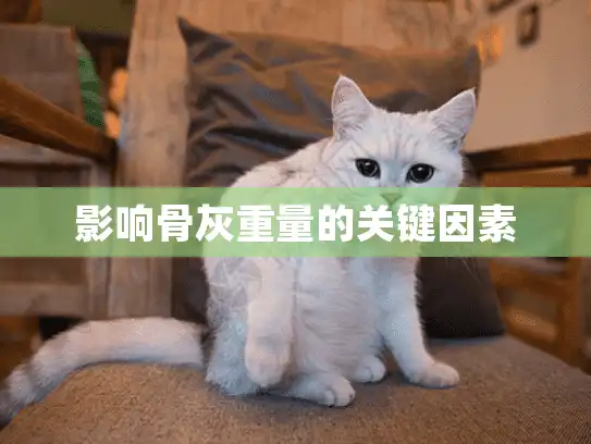 影响骨灰重量的关键因素