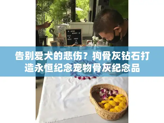 告别爱犬的悲伤？狗骨灰钻石打造永恒纪念宠物骨灰纪念品
