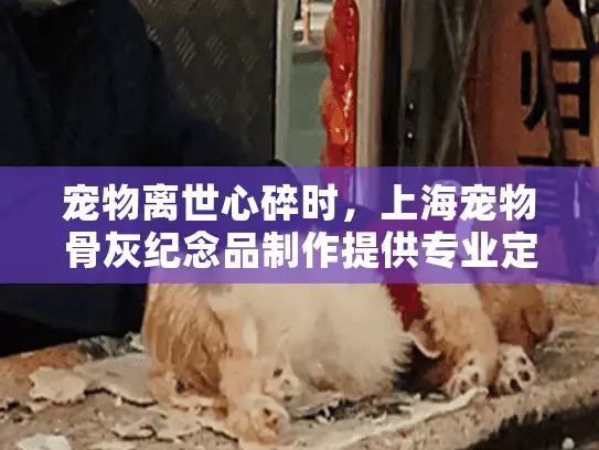 宠物离世心碎时，上海宠物骨灰纪念品制作提供专业定制纪念服务