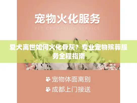爱犬离世如何火化骨灰？专业宠物殡葬服务全程指南