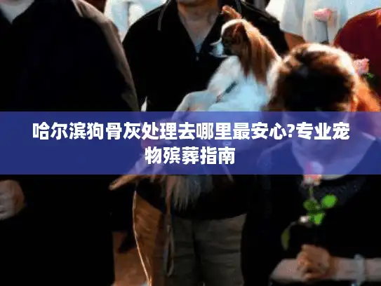 哈尔滨狗骨灰处理去哪里最安心?专业宠物殡葬指南
