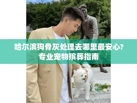 哈尔滨狗骨灰处理去哪里最安心?专业宠物殡葬指南