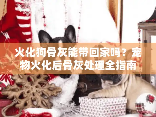 火化狗骨灰能带回家吗？宠物火化后骨灰处理全指南