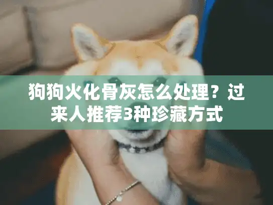 狗狗火化骨灰怎么处理？过来人推荐3种珍藏方式