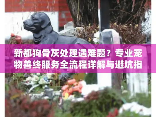 新都狗骨灰处理遇难题？专业宠物善终服务全流程详解与避坑指南