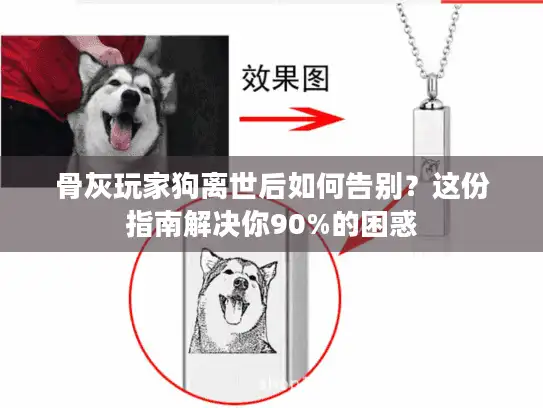 骨灰玩家狗离世后如何告别？这份指南解决你90%的困惑