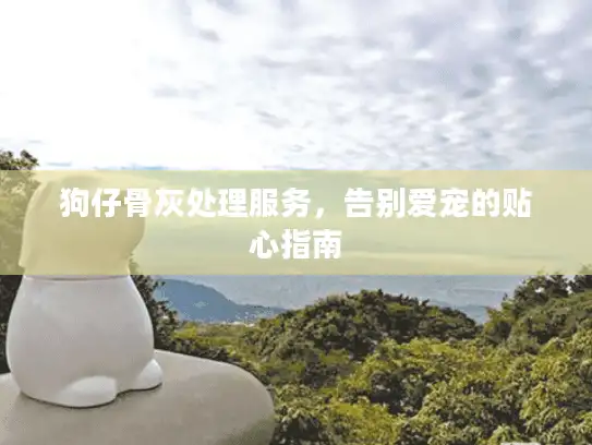 狗仔骨灰处理服务，告别爱宠的贴心指南