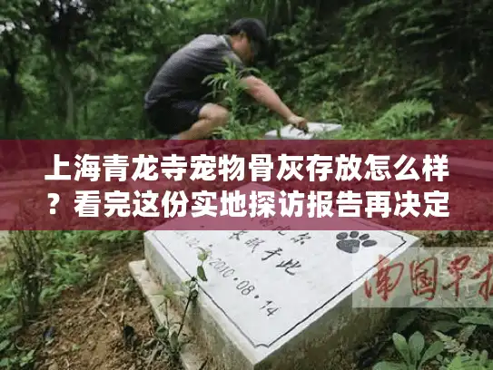 上海青龙寺宠物骨灰存放怎么样？看完这份实地探访报告再决定