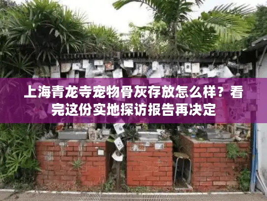 上海青龙寺宠物骨灰存放怎么样？看完这份实地探访报告再决定