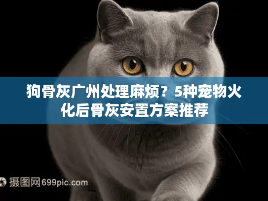 狗骨灰广州处理麻烦？5种宠物火化后骨灰安置方案推荐