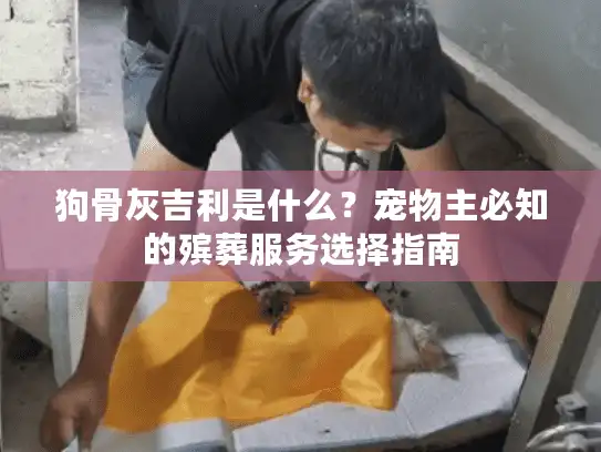 狗骨灰吉利是什么？宠物主必知的殡葬服务选择指南