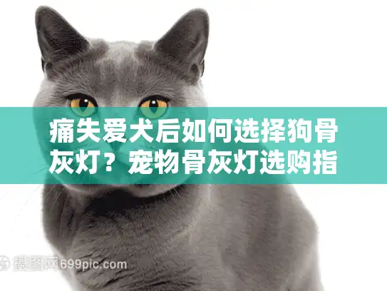 痛失爱犬后如何选择狗骨灰灯？宠物骨灰灯选购指南