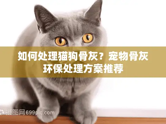 如何处理猫狗骨灰？宠物骨灰环保处理方案推荐