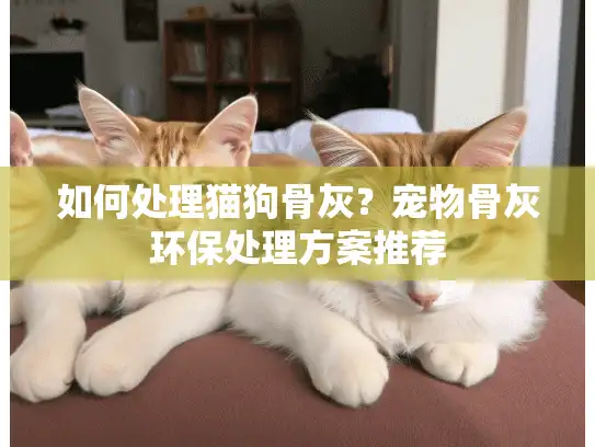 如何处理猫狗骨灰？宠物骨灰环保处理方案推荐