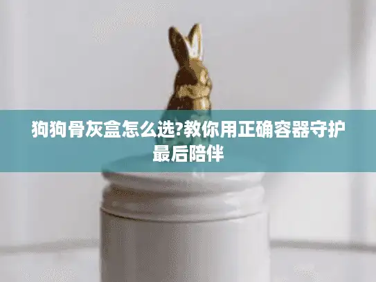 狗狗骨灰盒怎么选?教你用正确容器守护最后陪伴