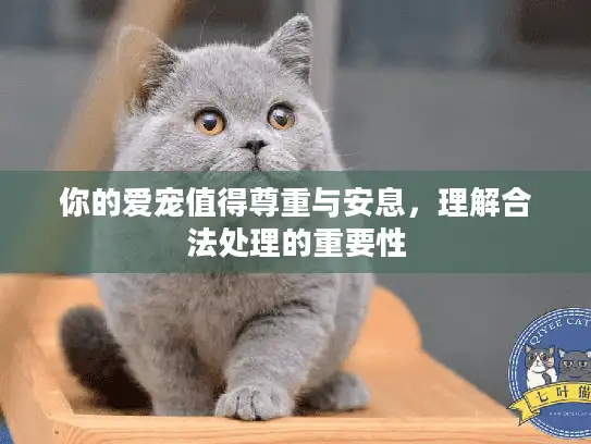 你的爱宠值得尊重与安息，理解合法处理的重要性