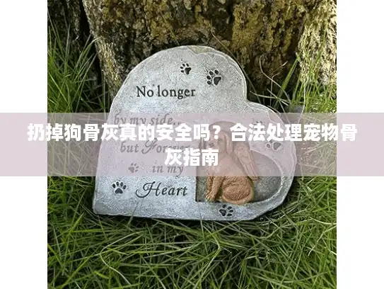 扔掉狗骨灰真的安全吗？合法处理宠物骨灰指南