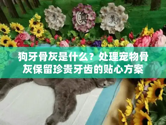 狗牙骨灰是什么？处理宠物骨灰保留珍贵牙齿的贴心方案