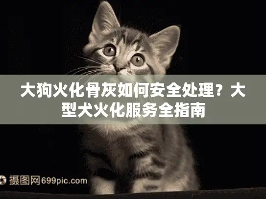 大狗火化骨灰如何安全处理？大型犬火化服务全指南