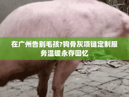 在广州告别毛孩?狗骨灰项链定制服务温暖永存回忆